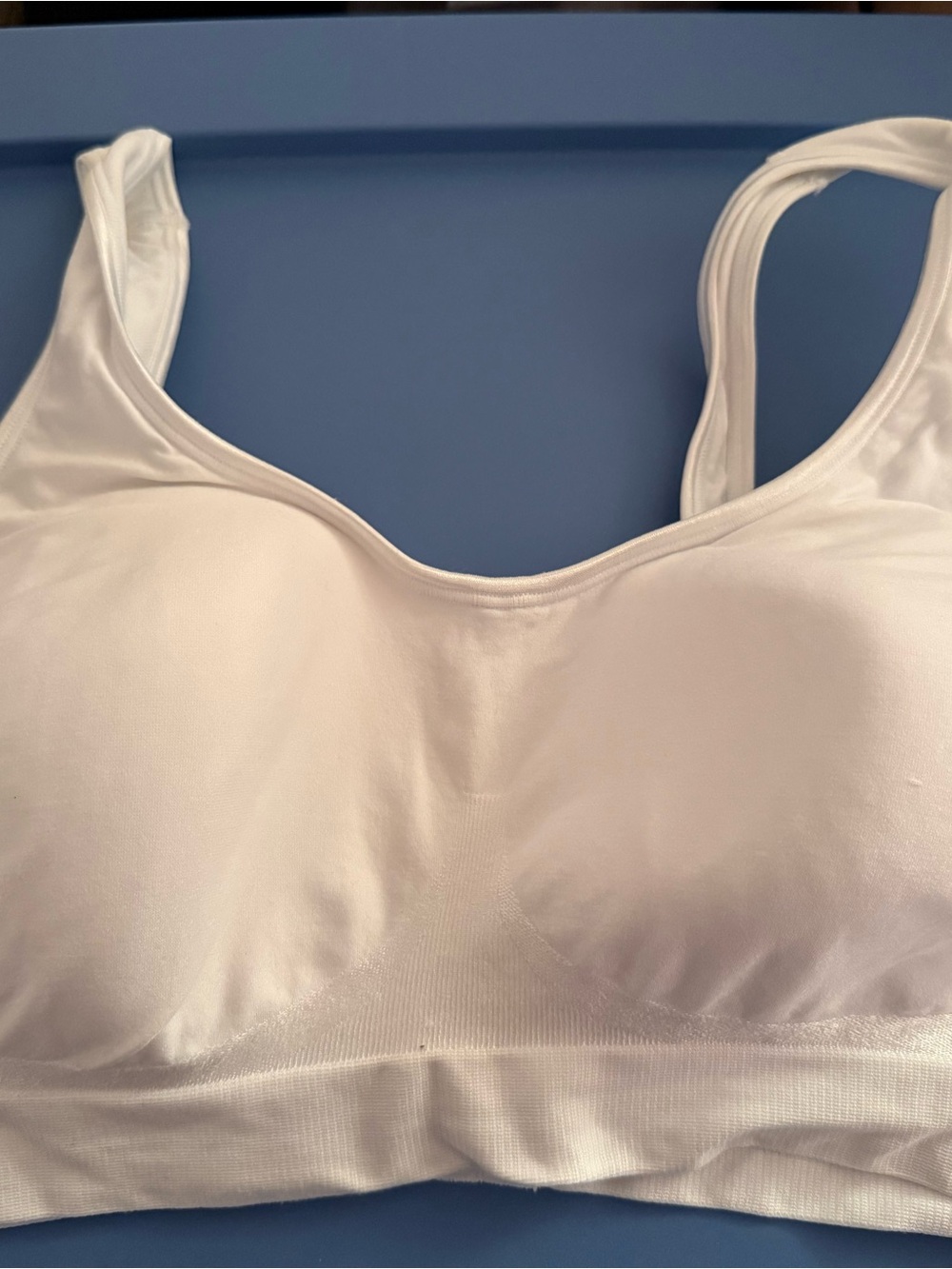 Bali White Seamless Everyday Comfort Sports Bra